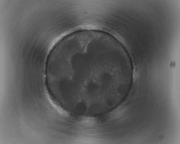 X0000111430438200907271109