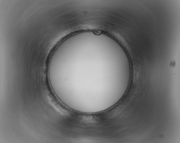 X0000111430439200907271109