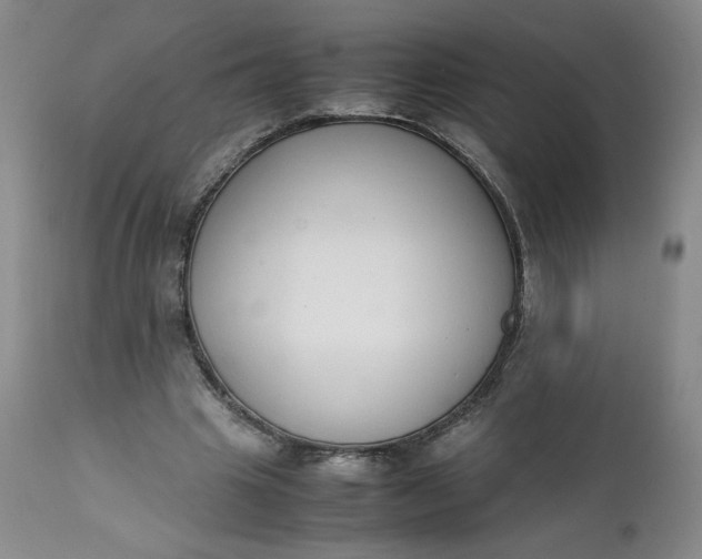 X0000111430441200907271109