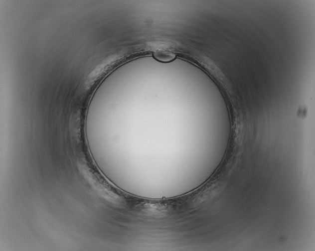 X0000111430442200907271109