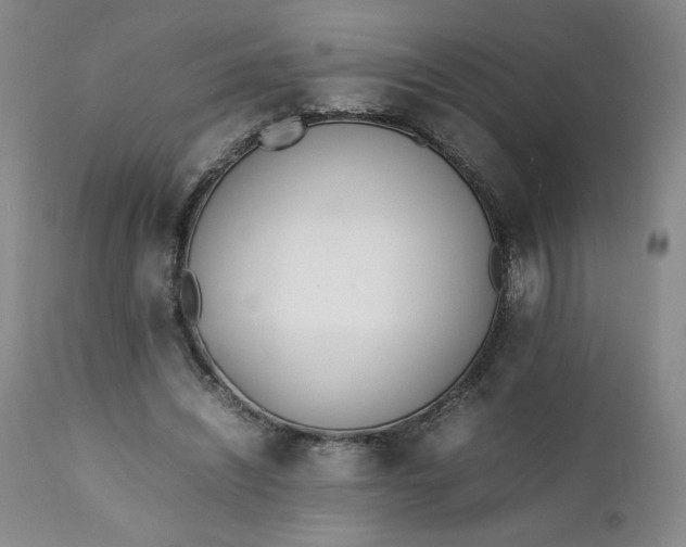 X0000111430444200907271109