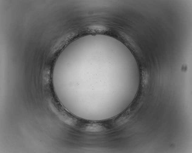 X0000111430451200907271109