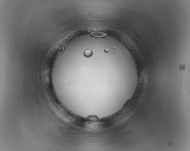 X0000111430452200907271109