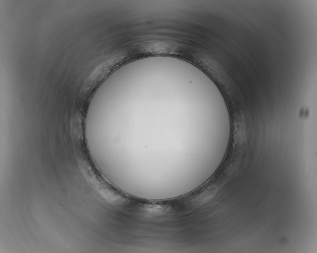 X0000111430453200907271109