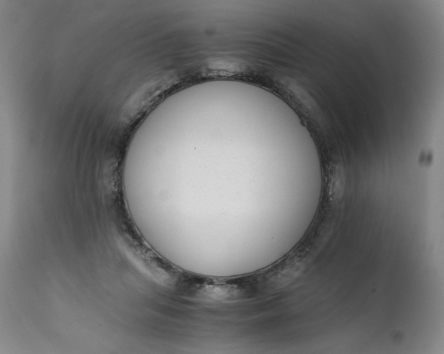 X0000111430455200907271109