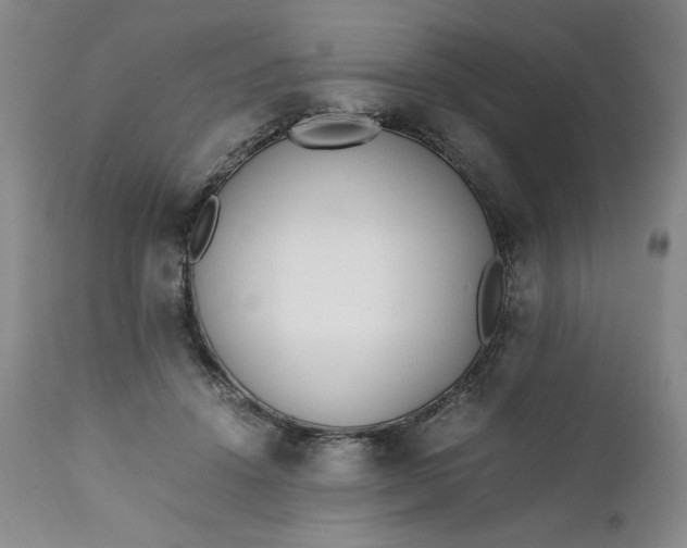 X0000111430456200907271109