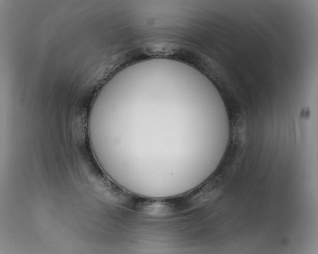 X0000111430460200907271109