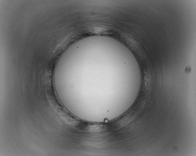 X0000111430461200907271109