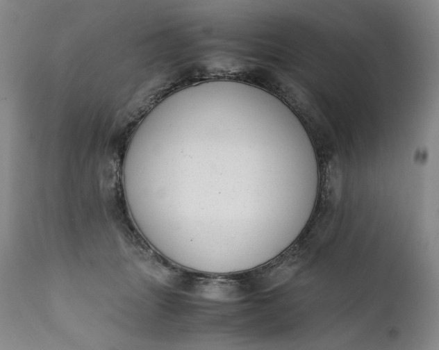 X0000111430463200907271109