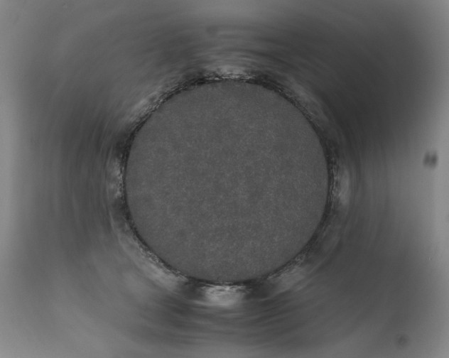 X0000111430465200907271109