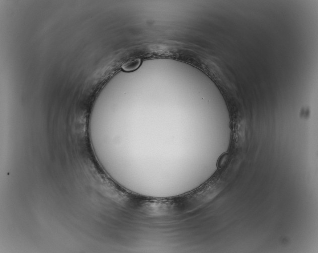 X0000111430466200907271109