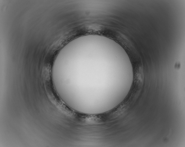 X0000111430468200907271109