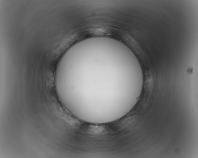 X0000111430469200907271109