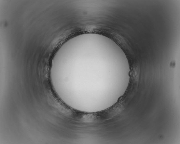 X0000111430470200907271109