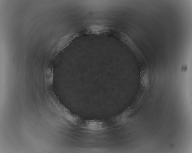 X0000111430471200907271109