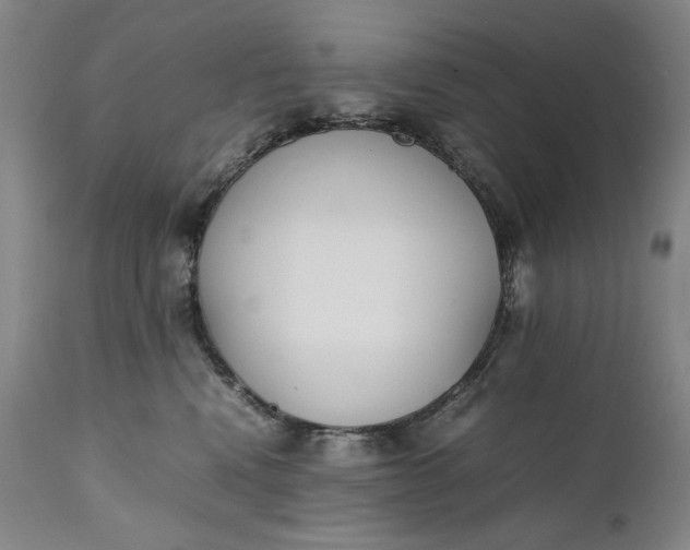 X0000111430472200907271109