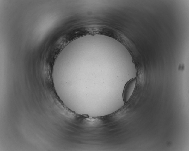 X0000111430477200907271109