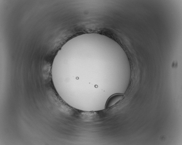 X0000111430480200907271109