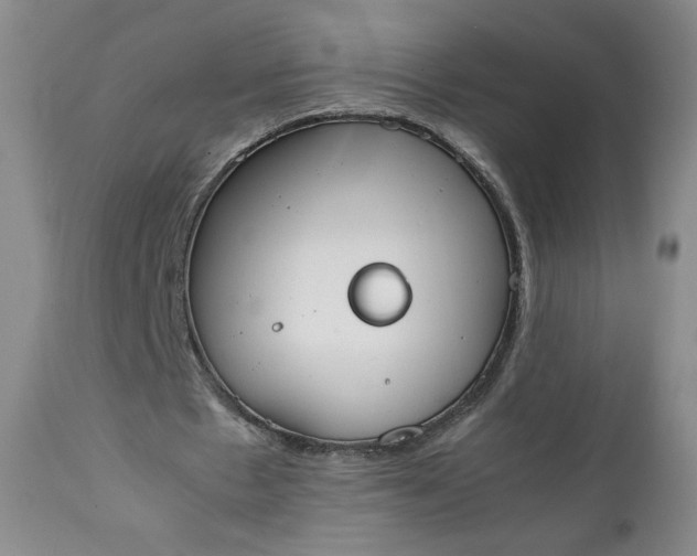 X0000111430481200907271109