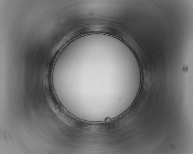 X0000111430482200907271109