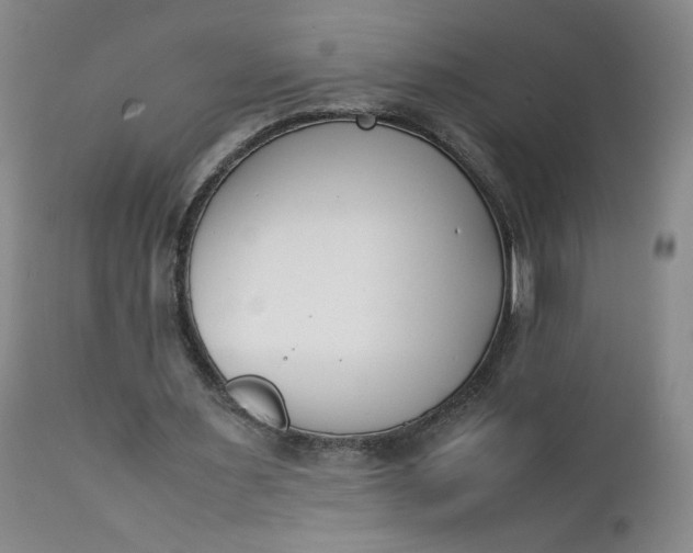 X0000111430483200907271109