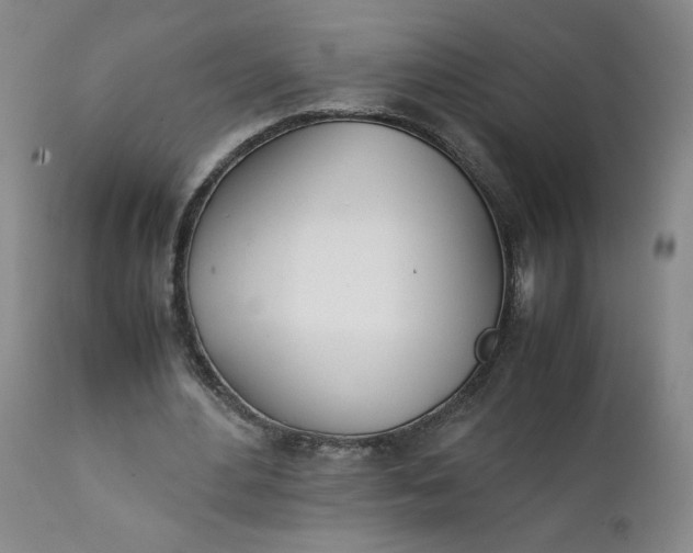 X0000111430484200907271109