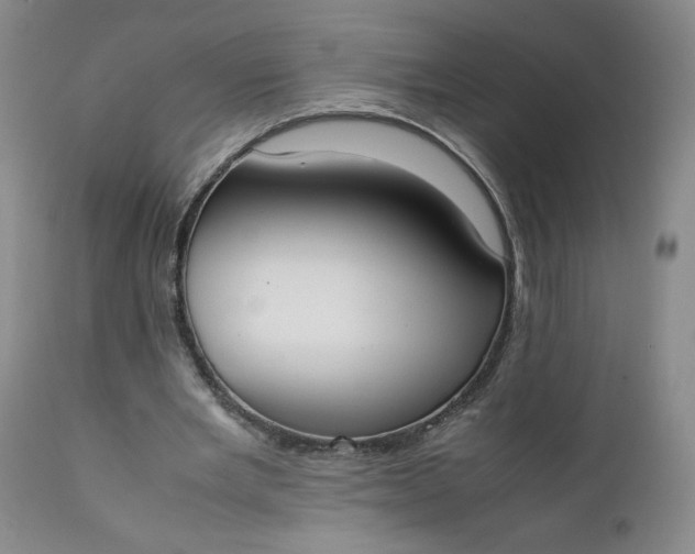 X0000111430485200907271109