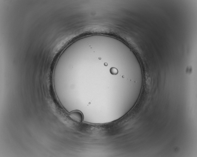 X0000111430487200907271109