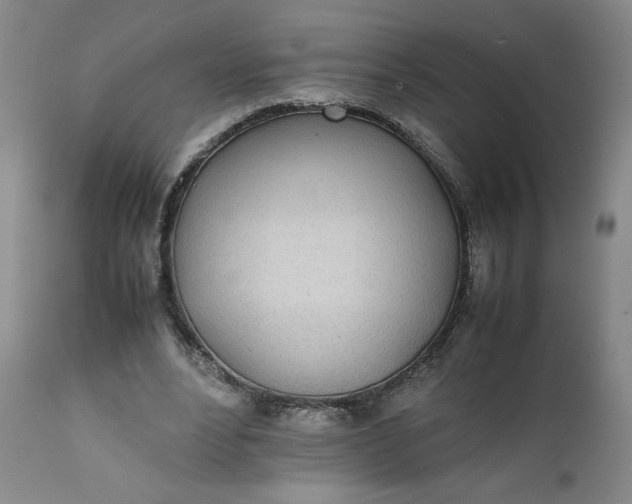 X0000111430488200907271109