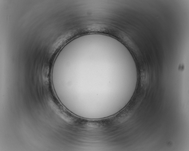 X0000111430490200907271109