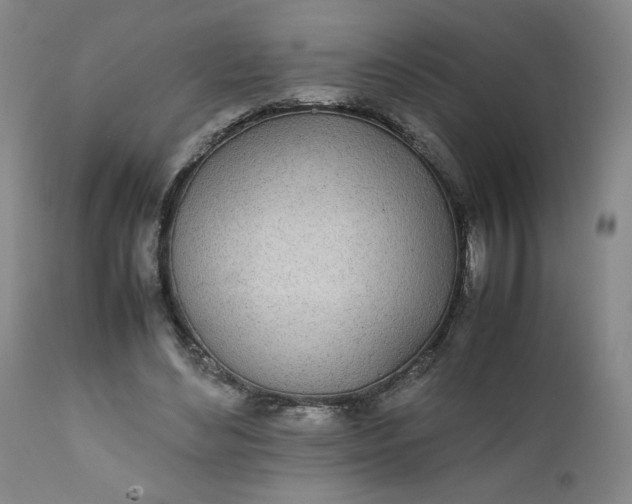 X0000111430492200907271108