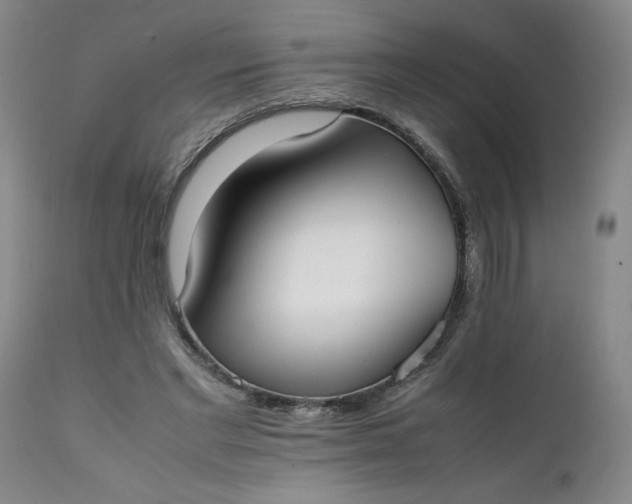 X0000111430493200907271108