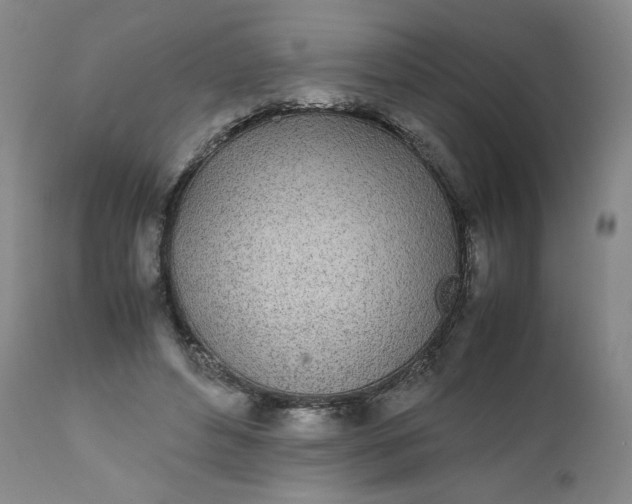 X0000111430496200907271108