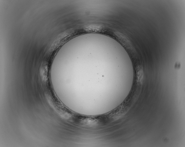 X0000111430498200907271108