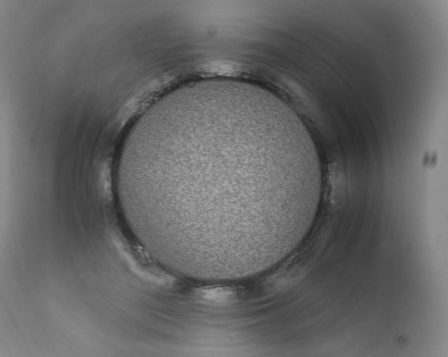 X0000111430500200907271108