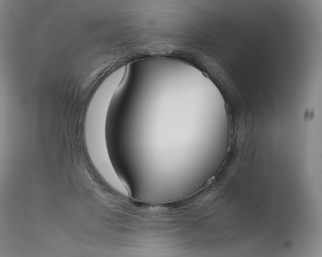 X0000111430501200907271108