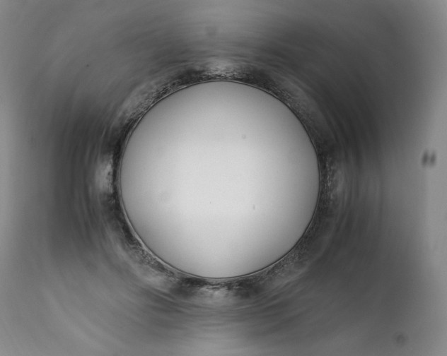 X0000111430502200907271108