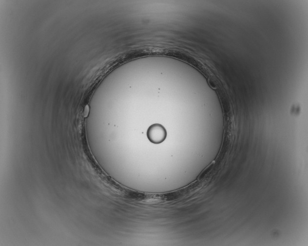 X0000111430505200907271108