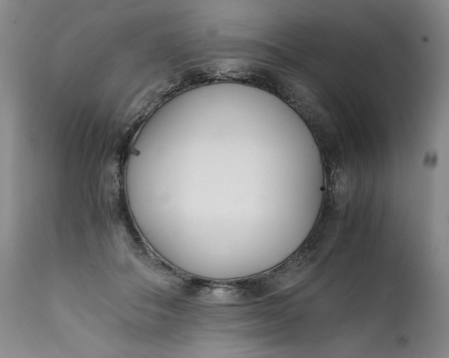 X0000111430506200907271108