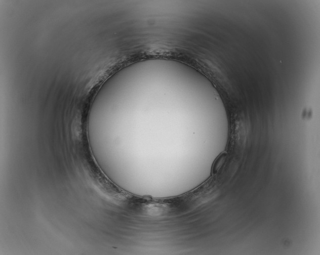 X0000111430508200907271108