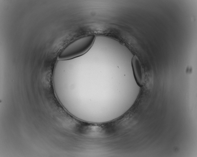 X0000111430509200907271108