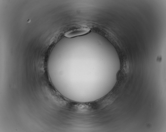 X0000111430512200907271108