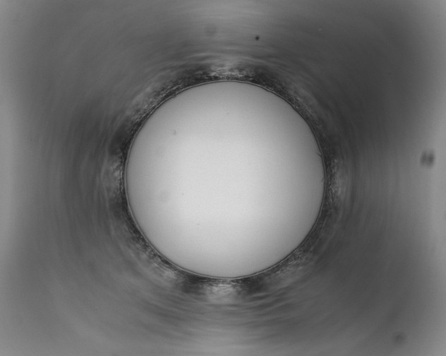 X0000111430513200907271108