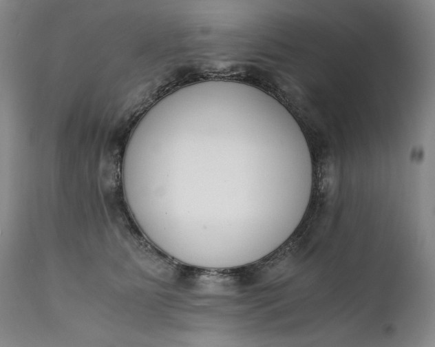 X0000111430515200907271108