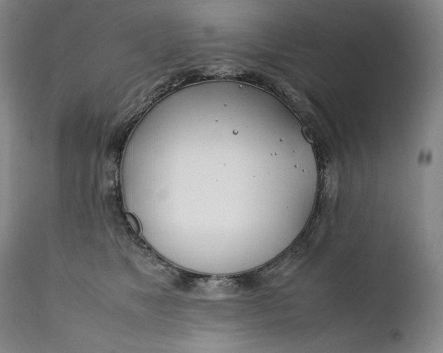 X0000111430517200907271108