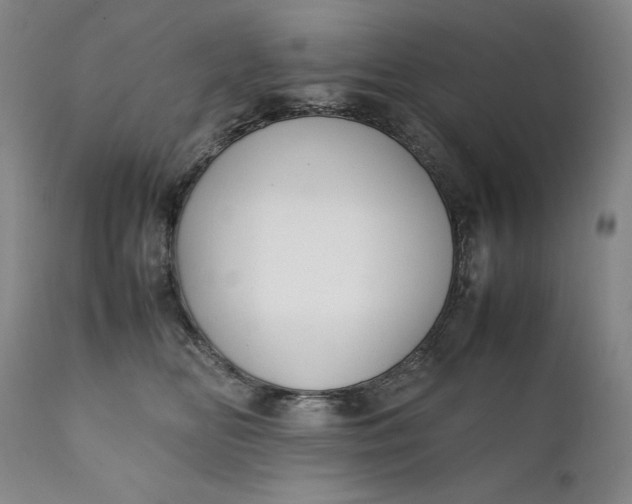 X0000111430518200907271108