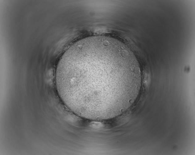 X0000111430519200907271108