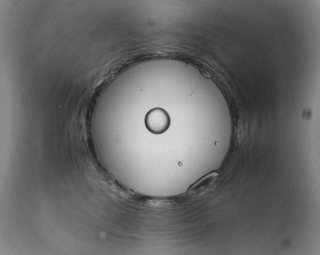 X0000111430520200907271108