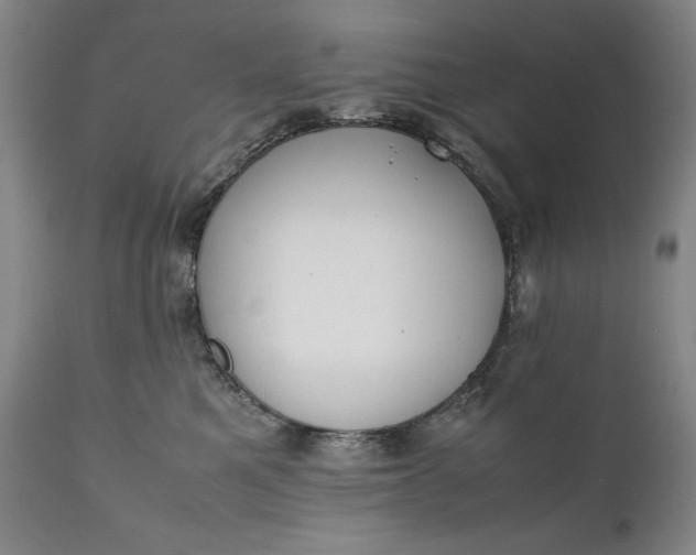 X0000111430521200907271108