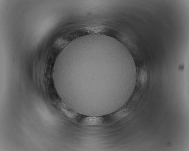 X0000111430526200907271108